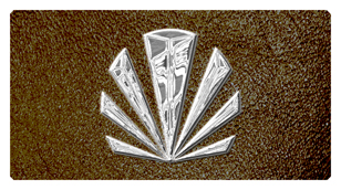 DSC700 602 SL SH BR Silver Sunburst Shimmer Brown Background